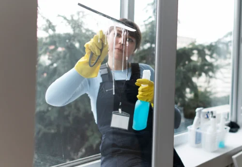 Nettoyage de vitres intérieures et extérieures à Saint-Lubin-des-Joncherets